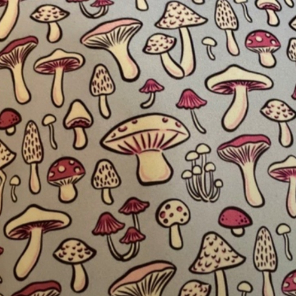 Throw pillow mushroom size 14in by 14.5 in